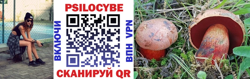 Галлюциногенные грибы Cubensis  Полярные Зори 